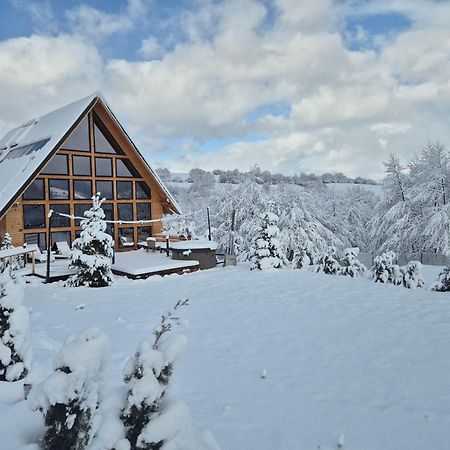 Cabana Timbernest Bran  Extérieur photo