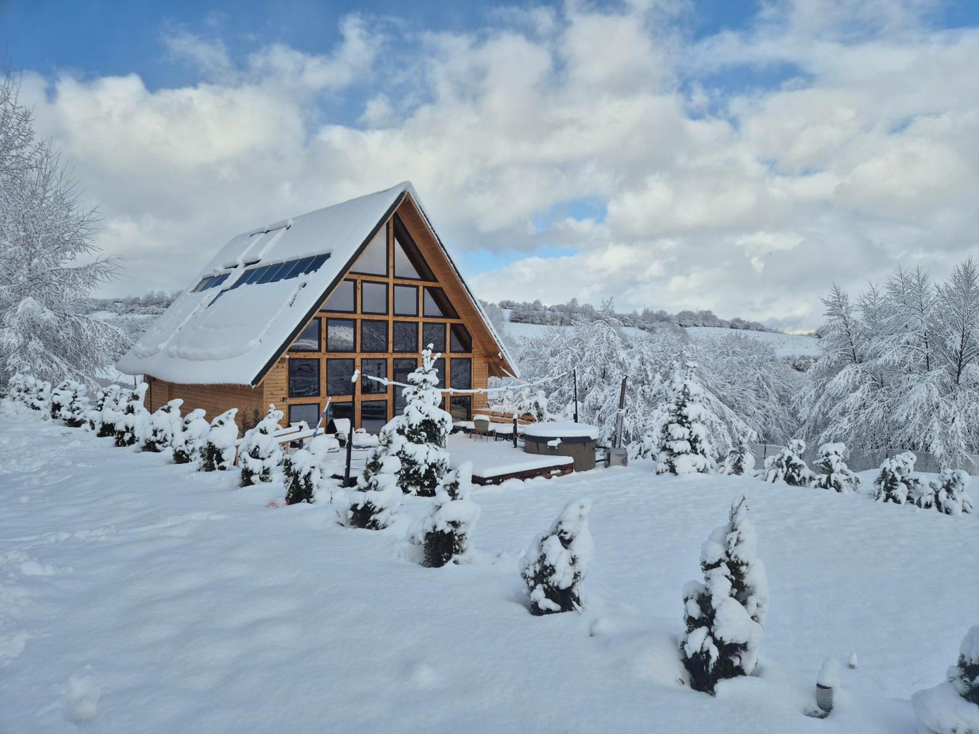 Cabana Timbernest Bran  Extérieur photo